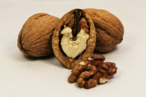 Walnut