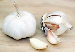 garlic pic